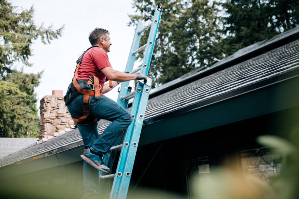 Best Solar Panel Roofing Installation  in Temple, TX